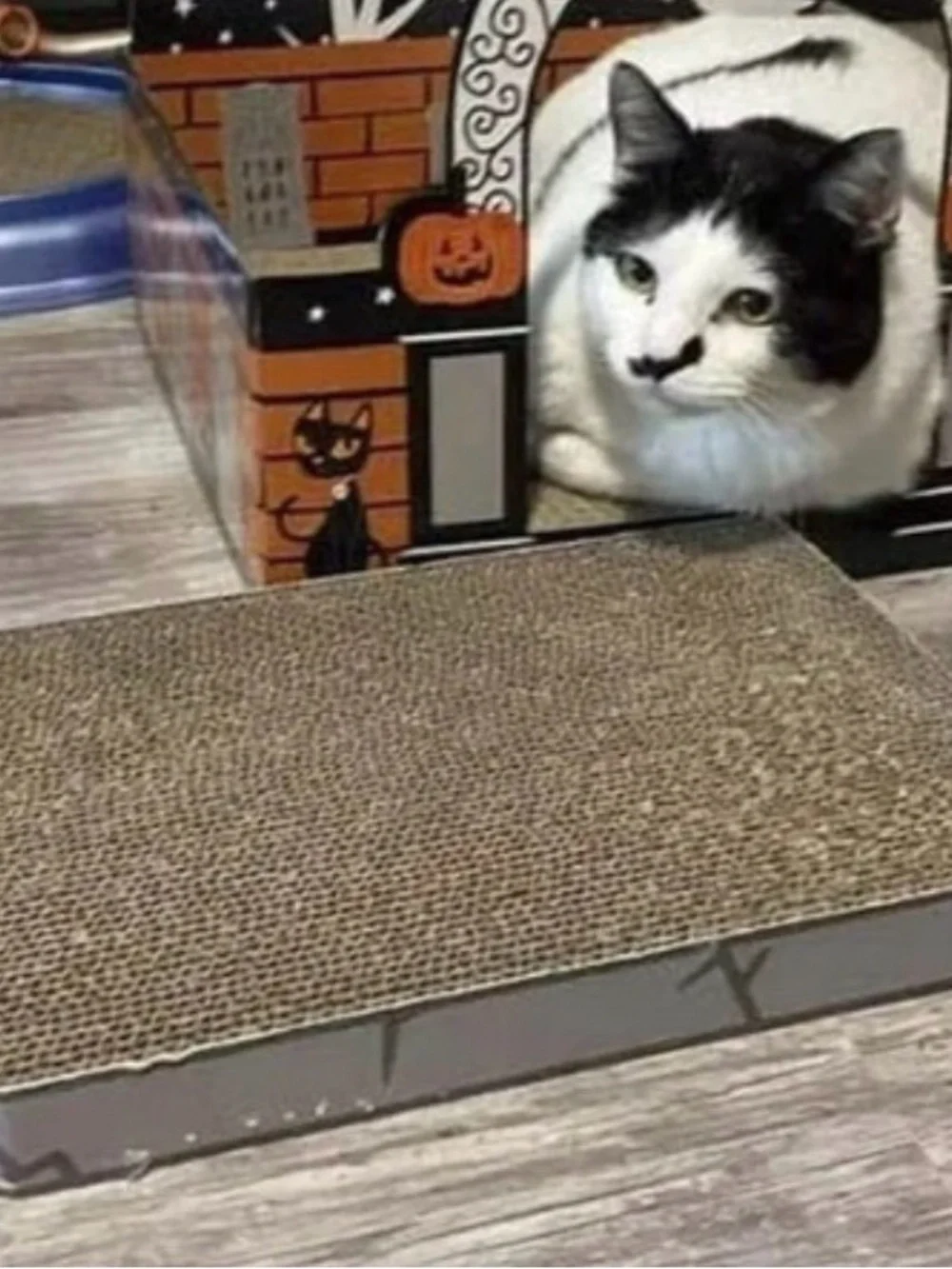 Target Brown Corrugated Cardboard Cat Scratcher Pads, Set of 2